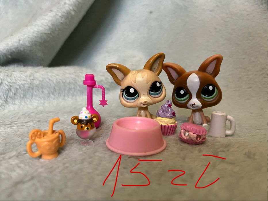 Zestaw littlest pet shop