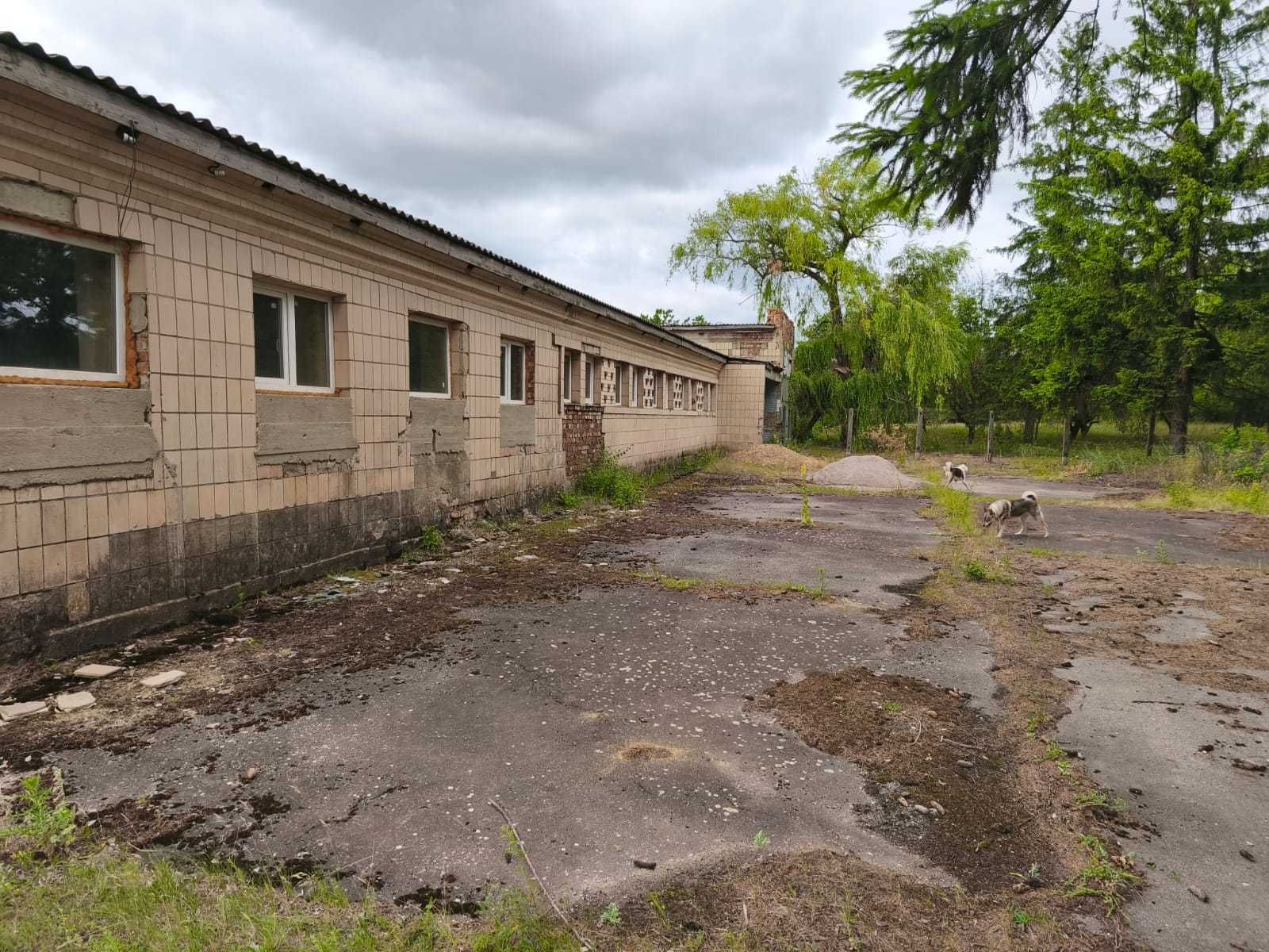 приміщення комерційне