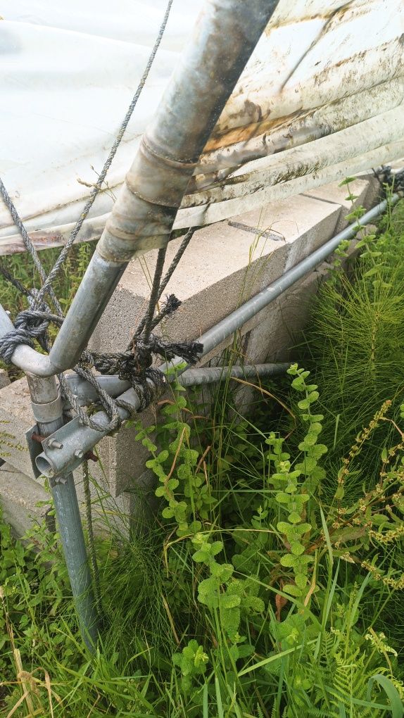Estufas com bancadas de hidroponia