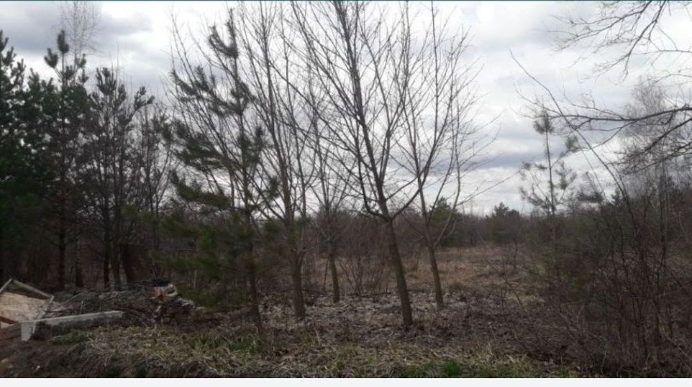 Земельна ділянка на березі Дніпра