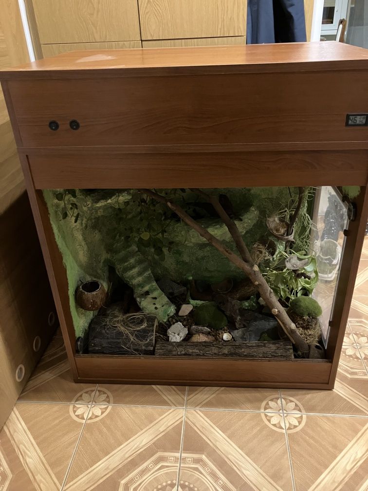 Terrarium dla węża, agamy, gekona.