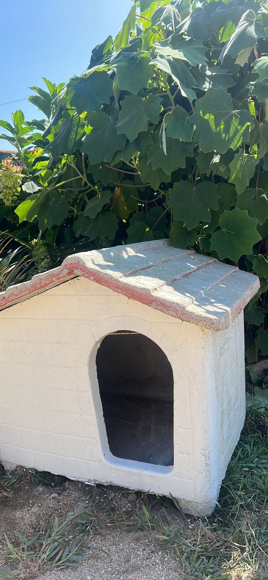 Casota de cão médio
