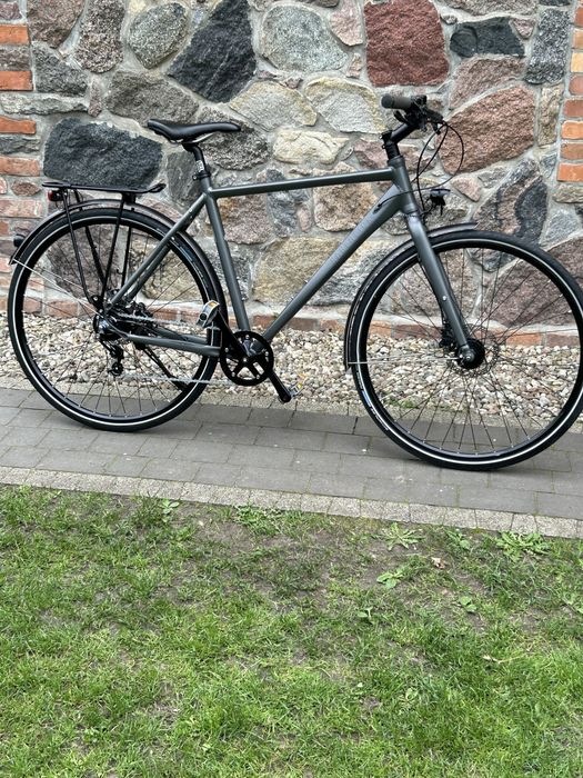 Rower Rabeneick TS5 Nowy Alfine