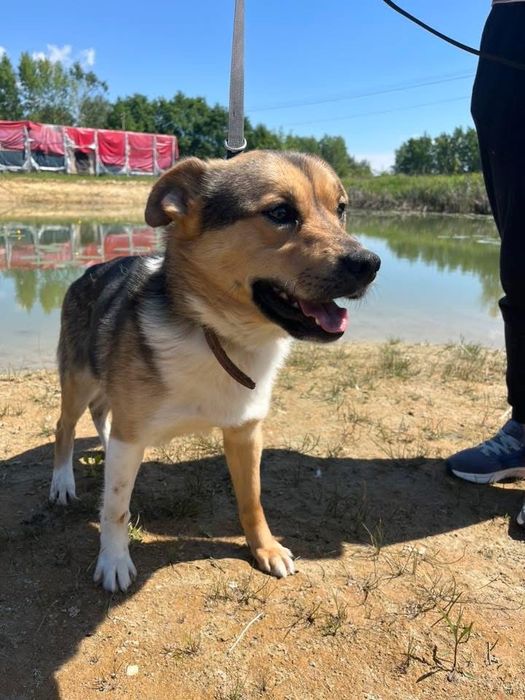 Parys błaga o dom !