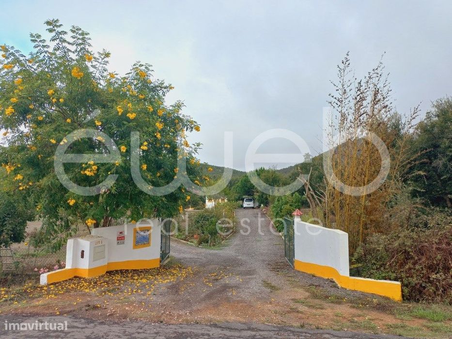 Lote, S. Luis, Odemira