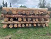 Продам колоди для дикого зруба