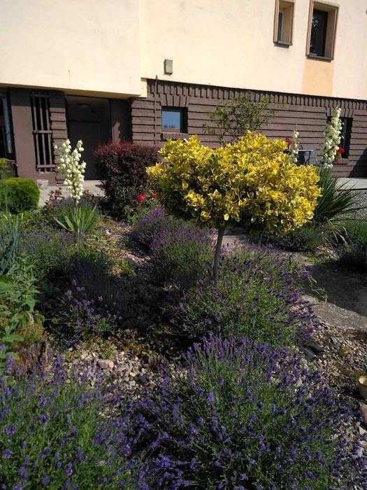 Polanica Zdrój Hostel Julka