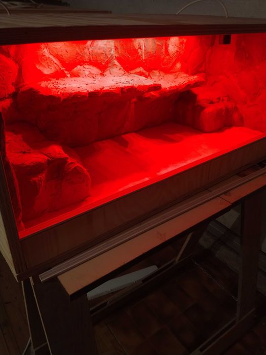 Terrarium skalne dla agamy, nowe