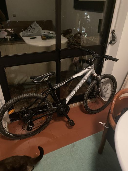 Bicicleta marca sirla