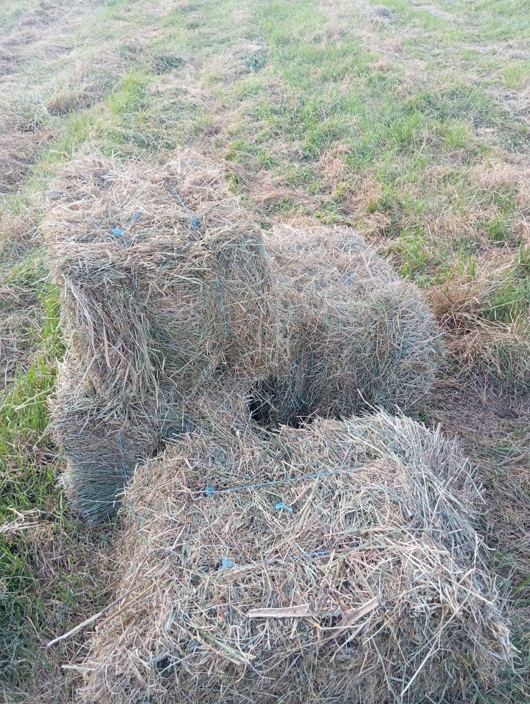Сено луговое и солома в тюках