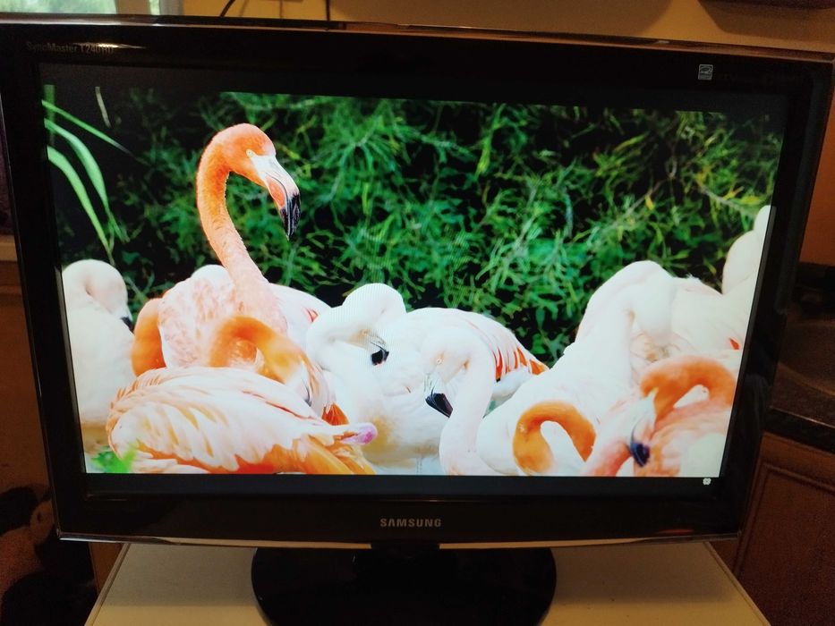 Telewizor Monitor Samsung SyncMaster T240HD