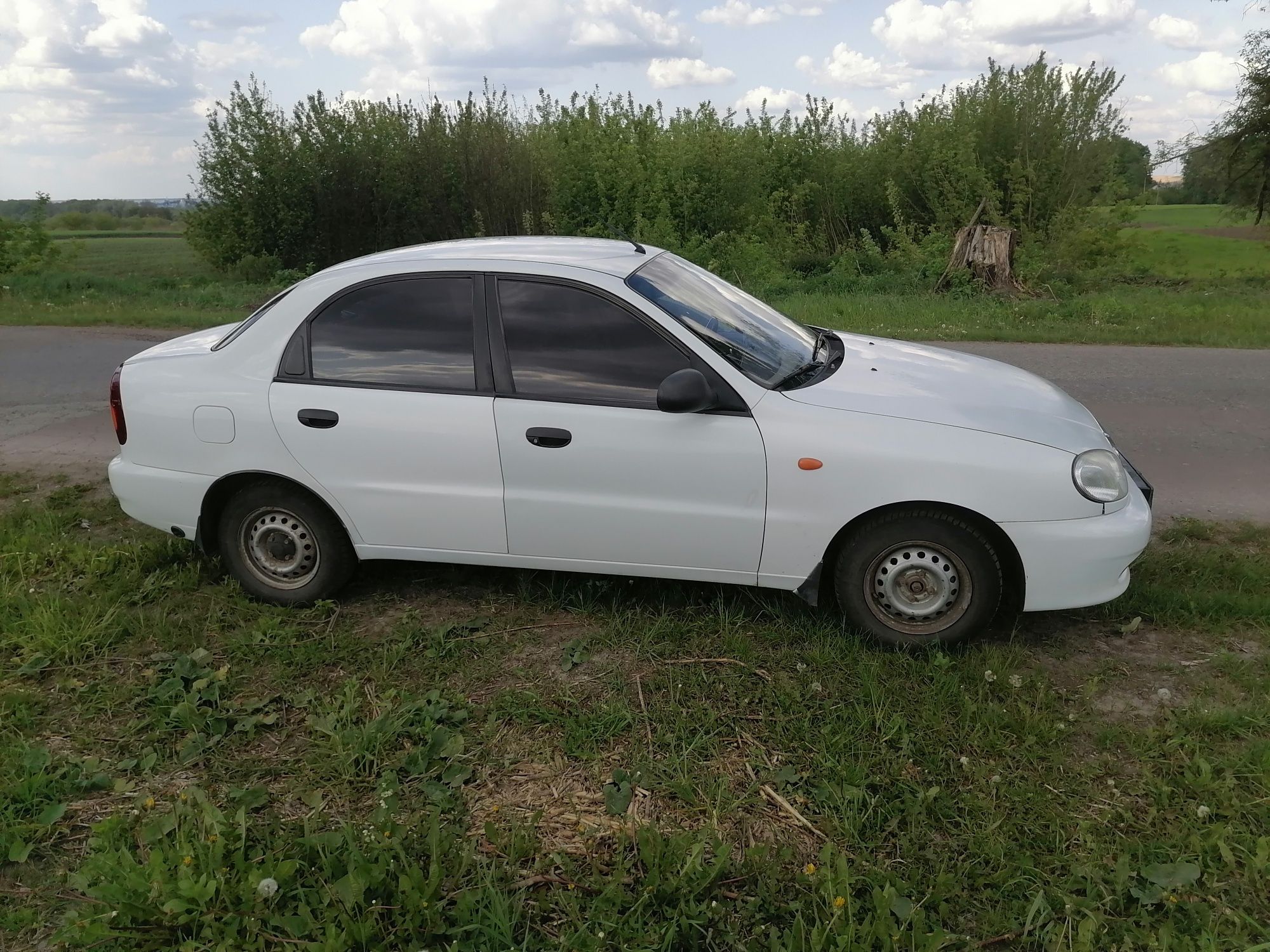 Daewoo/ЗАЗ Lanos 1.5 2011