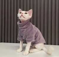 Одяг для кішок котів