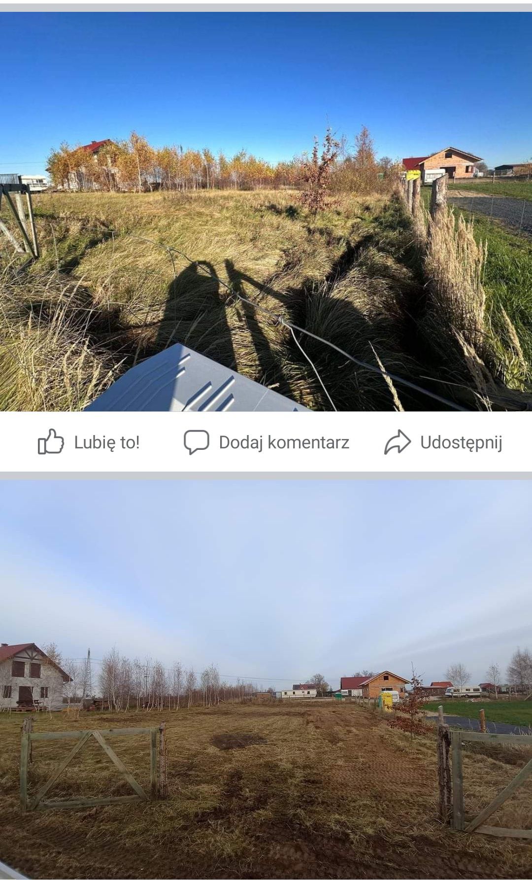 Usługi ogrodnicze zakładanie trawników, projektowanie ogrodów.