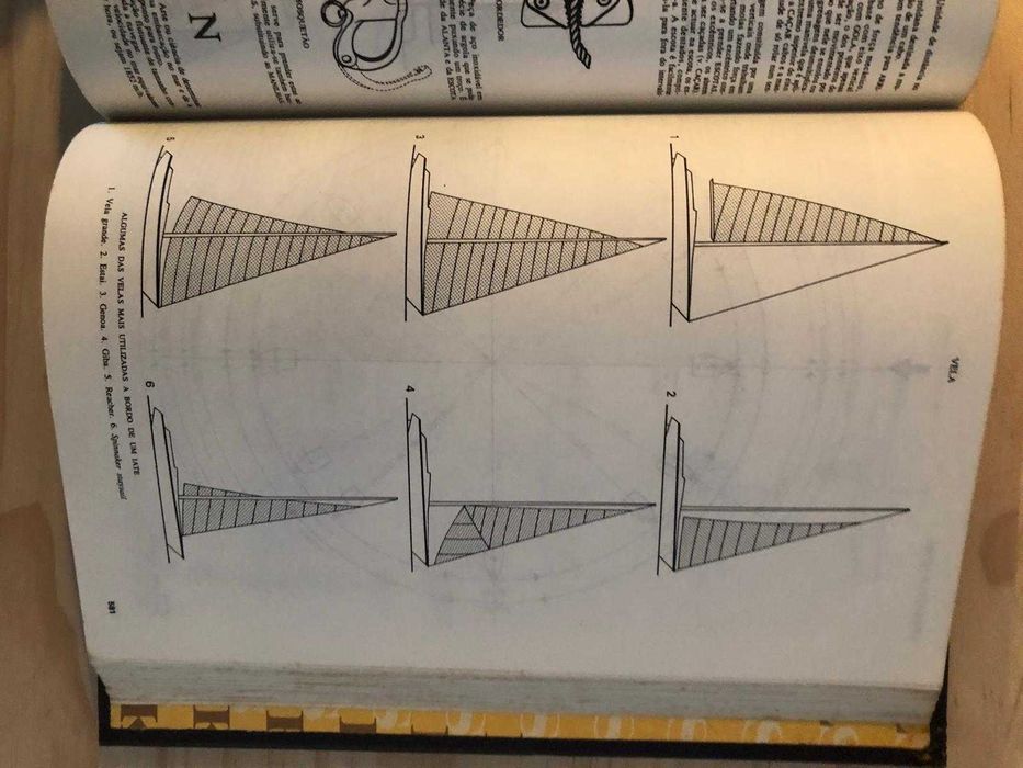 Dicionário Enciclopédia  com ilustrações desenhadas