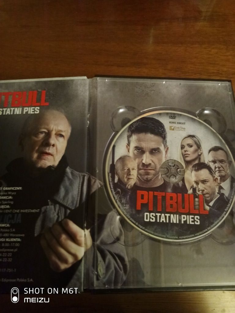 PITBULL ostatni pies