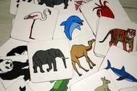 Karty obrazkowe zwierzęta plus cienie i kontury
