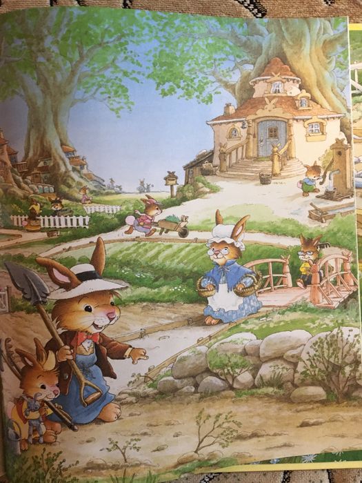 Книга Жили- были кролики