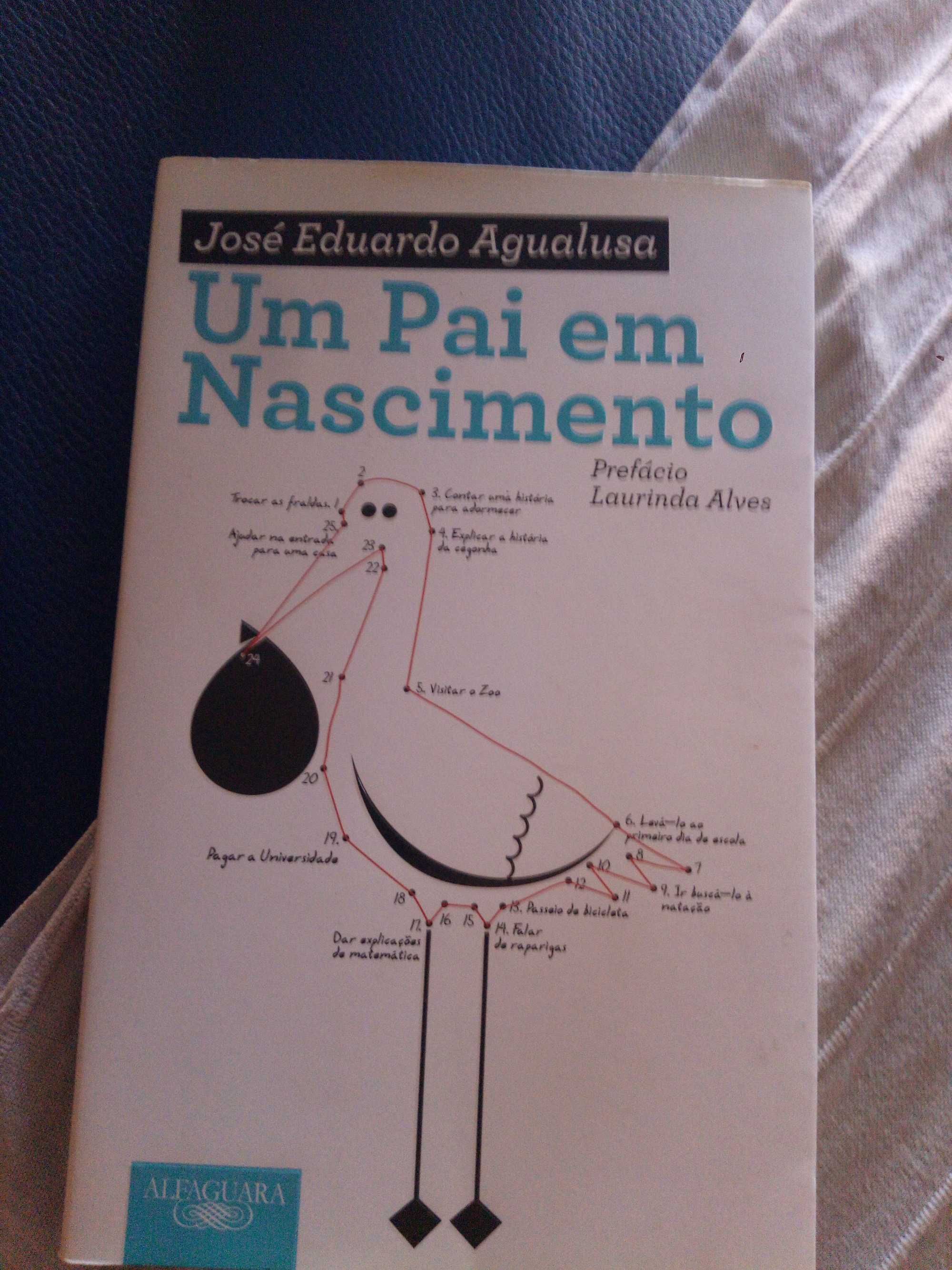 Livro um pai em nascimento