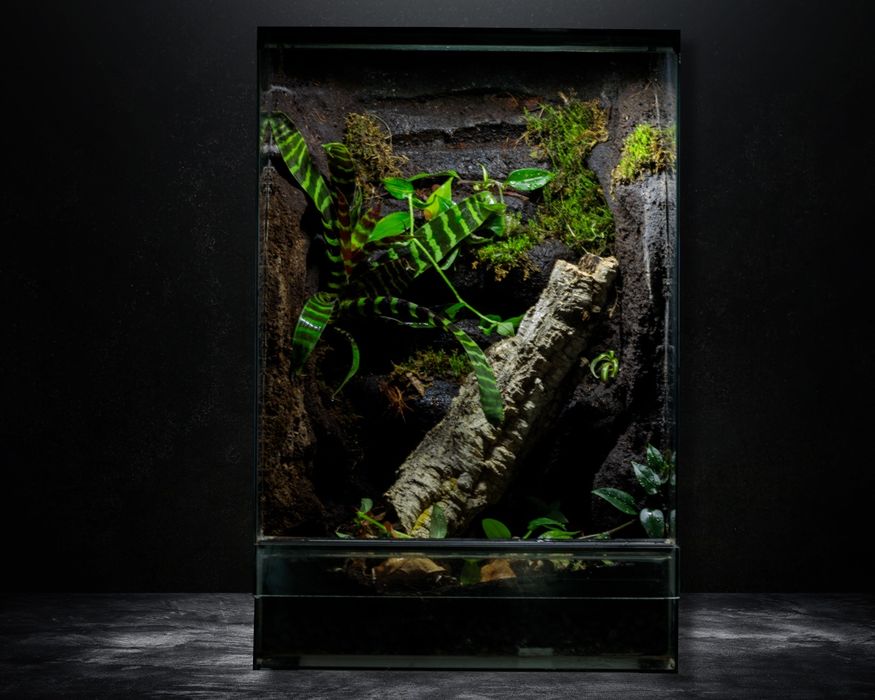 Terrarium 40x40x60 gekon paludarium vivarium