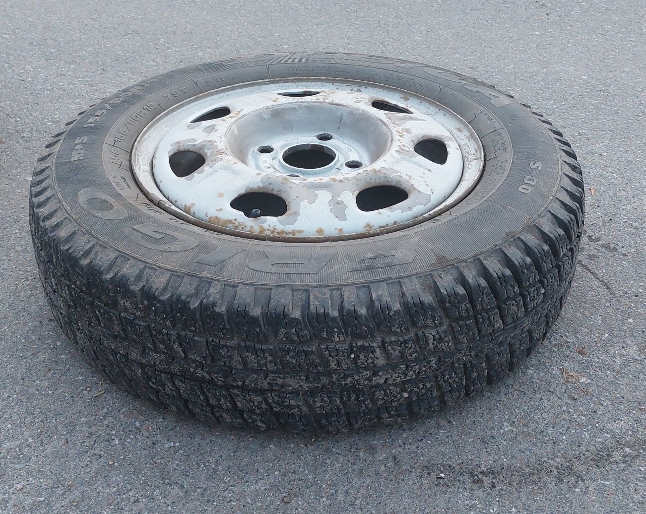 Dębica Frigo 155/80 R13 z Felgami 3 szt.