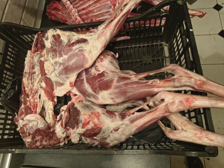 Jagnięcina świeża.