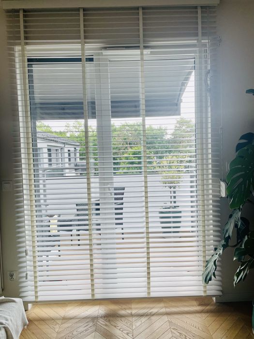 Żaluzje drewniane Anwis promocja