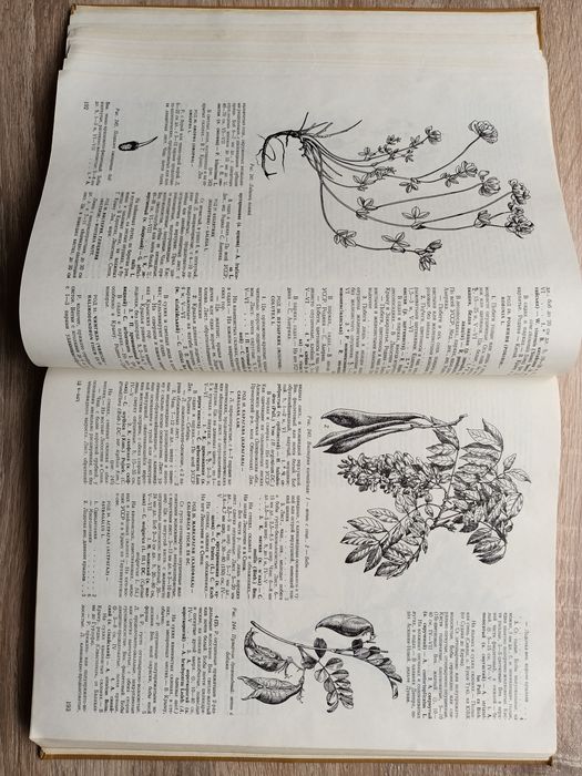 Определить высших растений Украины