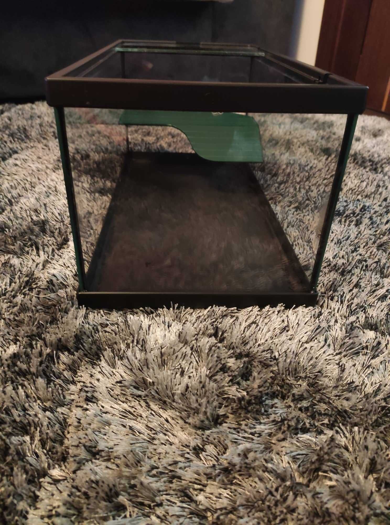 Tartarugueira Tortum 40