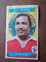 Cromo Caramelos 1961/62 Coluna (Benfica)