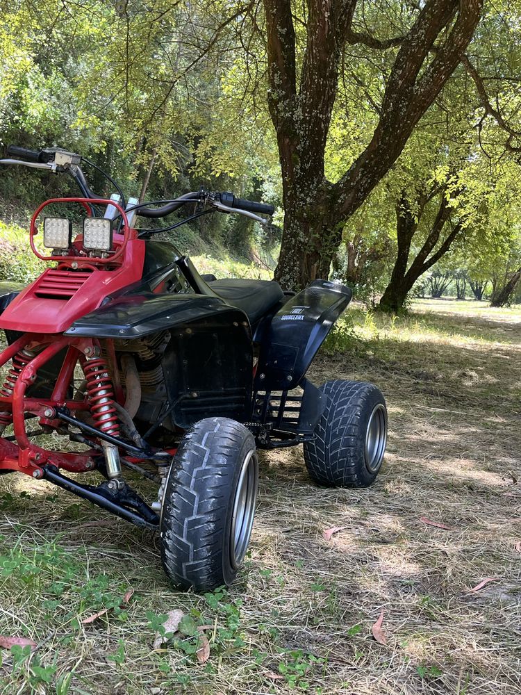 Yamaha warrior 350