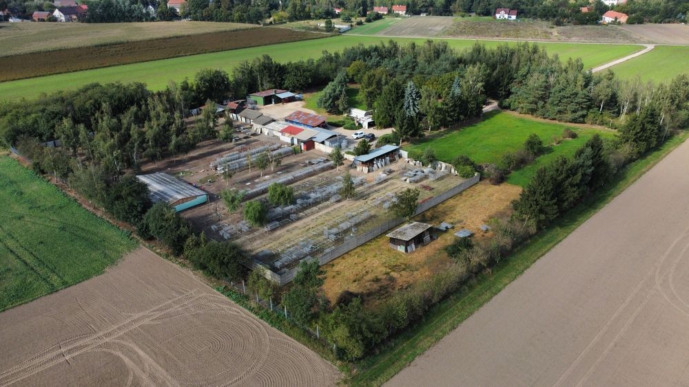 Nieruchomość na sprzedaż