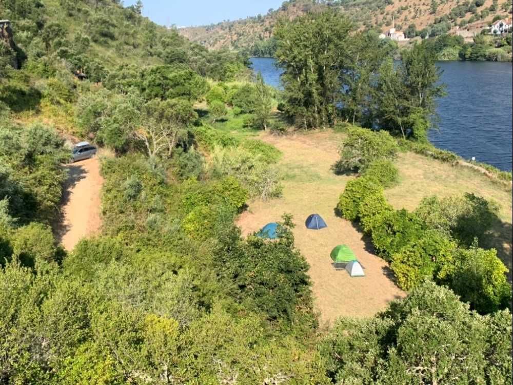 Terreno rústico idílico em Belver, rio Tejo e praia fluvial