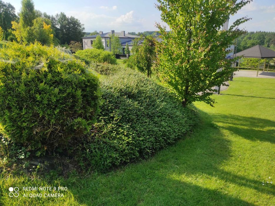 Uslugi ogrodnicze Twój prywatny ogrodnik Kraków-Kalwaria okolice