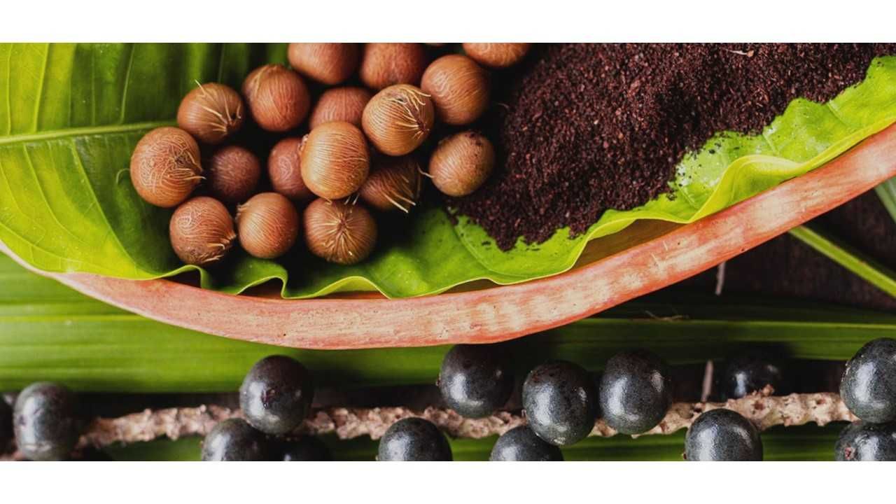 CAFÉ DO CAROÇO DE AÇAÍ- Fruta Amazônia/BR-Ajuda a combater a Diabetes.