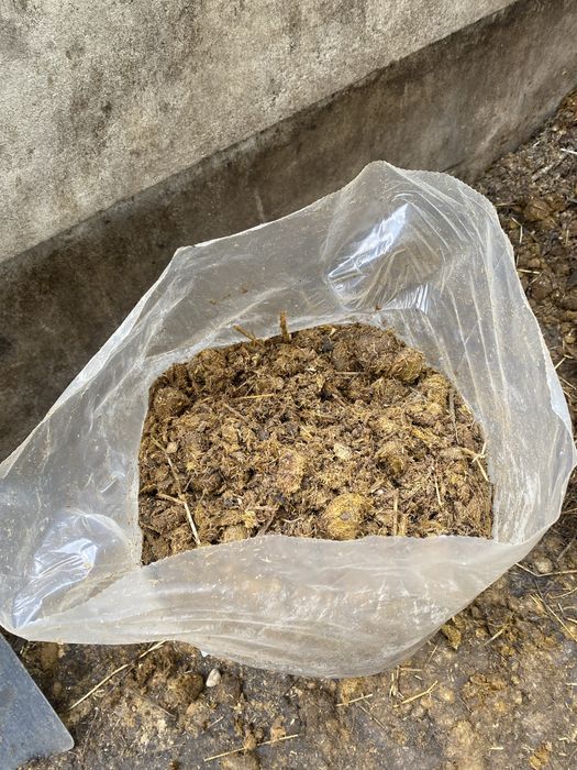 Sprzedam obornik koński workowany naturalny nawóz