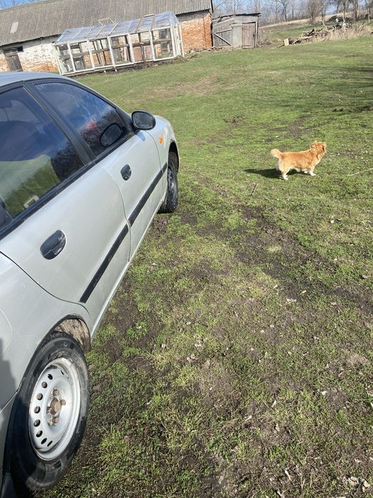 Продам део сенс .