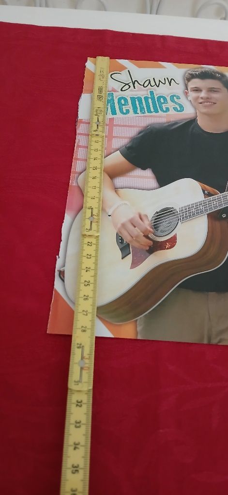 Poster Shawn Mendes, novo