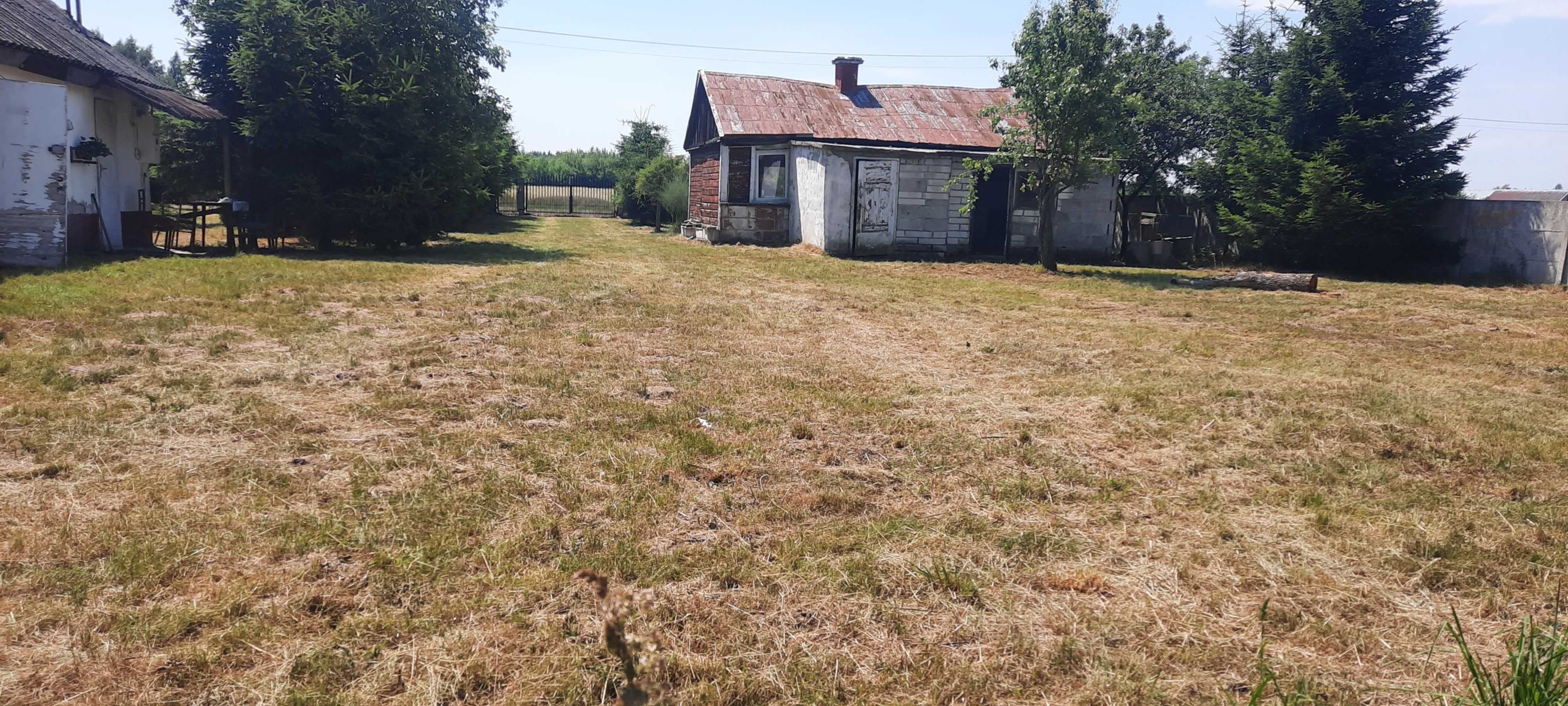 Sprzedam dużą działkę w Rybitwy 23 (Mazowieckie)
