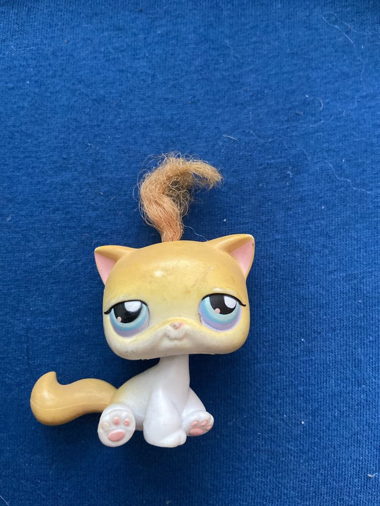 Kotek shorthair lps #42