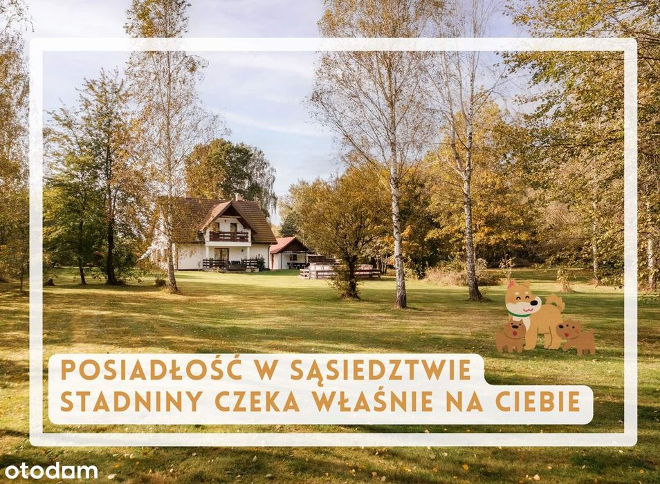 Wyjątkowa posiadłość w pobliżu stadniny w Wólce Cycowskiej