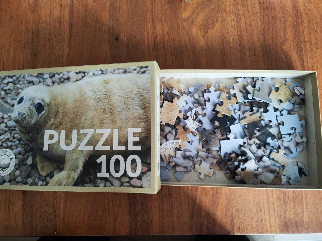 Puzzle Foka 100 elementów