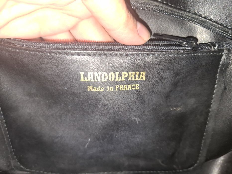 Сумка жіноча чорна Landolphia