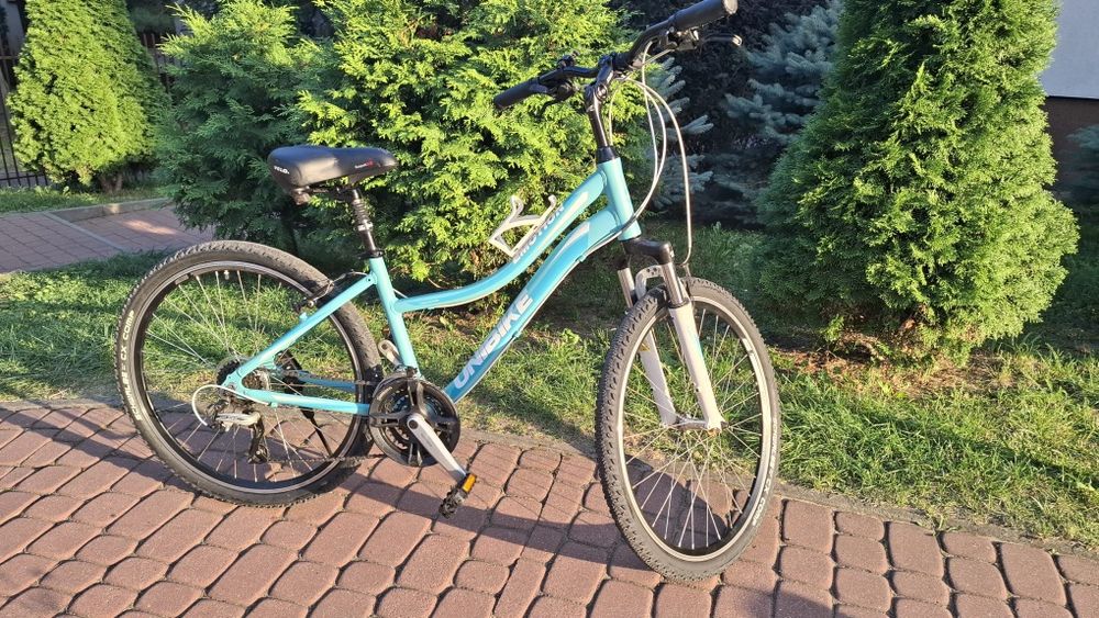 Rower Unibike Emotion W 26"