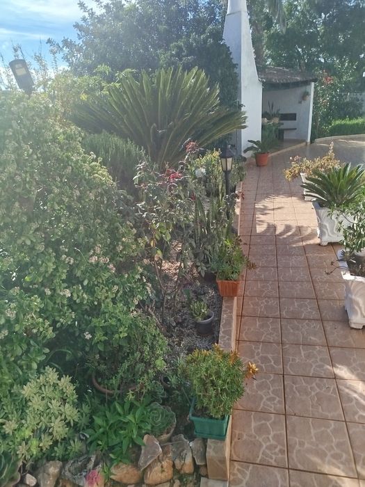 Aluga-se T1 na Pedreira ( Silves)