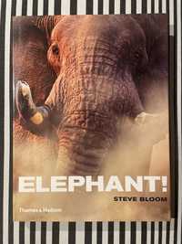 Elephant! Steve Bloom