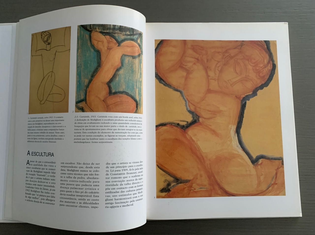 Grandes pintores do século XX - Modigliani
