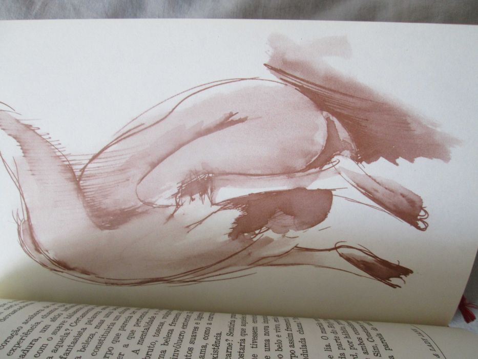 John Thomas & Lady Jane, de  D.H Lawrence, com desenhos eróticos