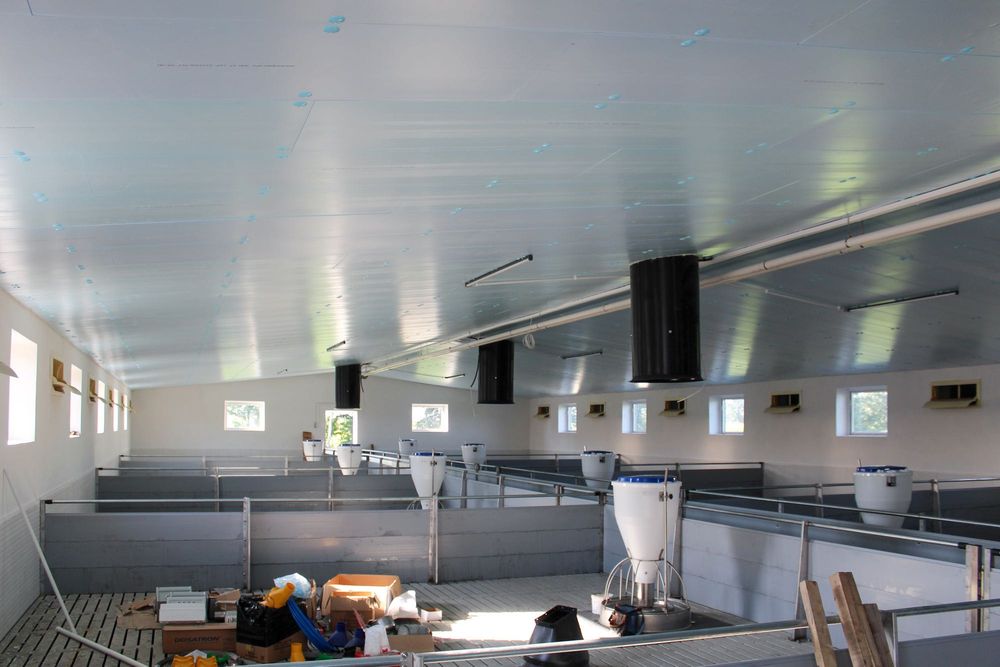 Sufit Strop Ściany do Obory Chlewni Kurnika Tuczarni Styrodur XPS AGRO