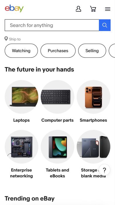 Ebay аккаунт с Payoneer